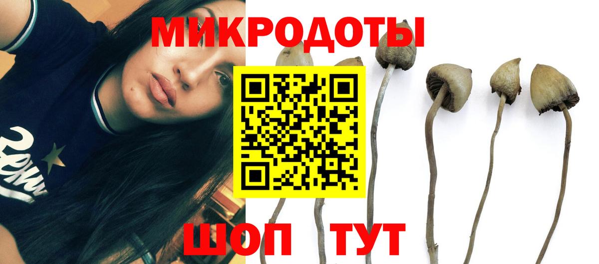 Златоуст  Псилоцибиновые грибы GOLDEN TEACHER  Вход с VPN  Псилоцибиновые грибы Cubensis 